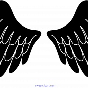 Black Wings PNG Images