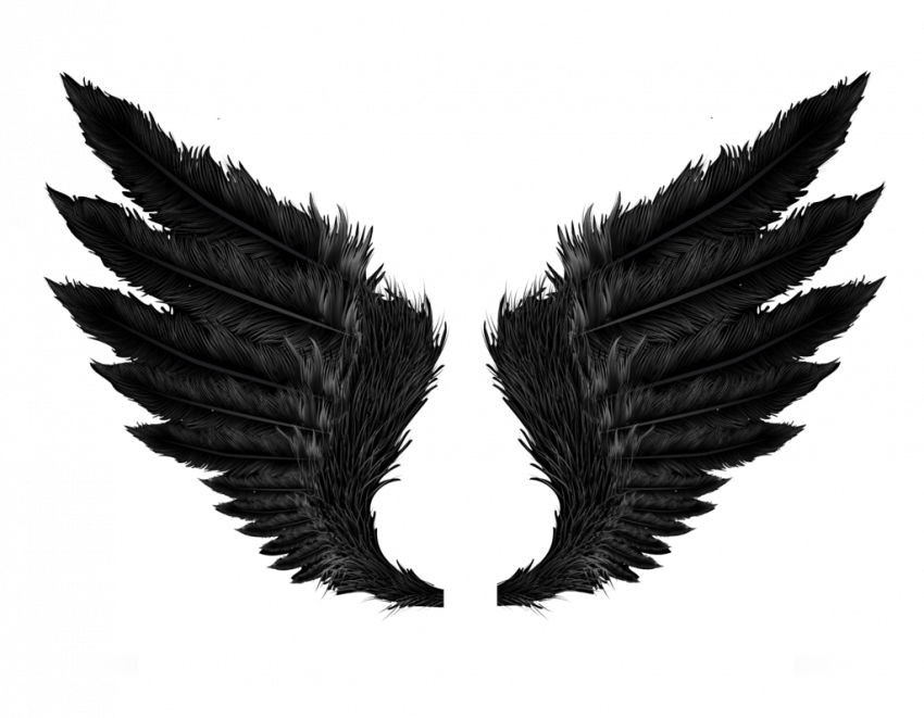 Black Wings PNG Images HD