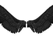 Black Wings PNG Cutout - PNG All