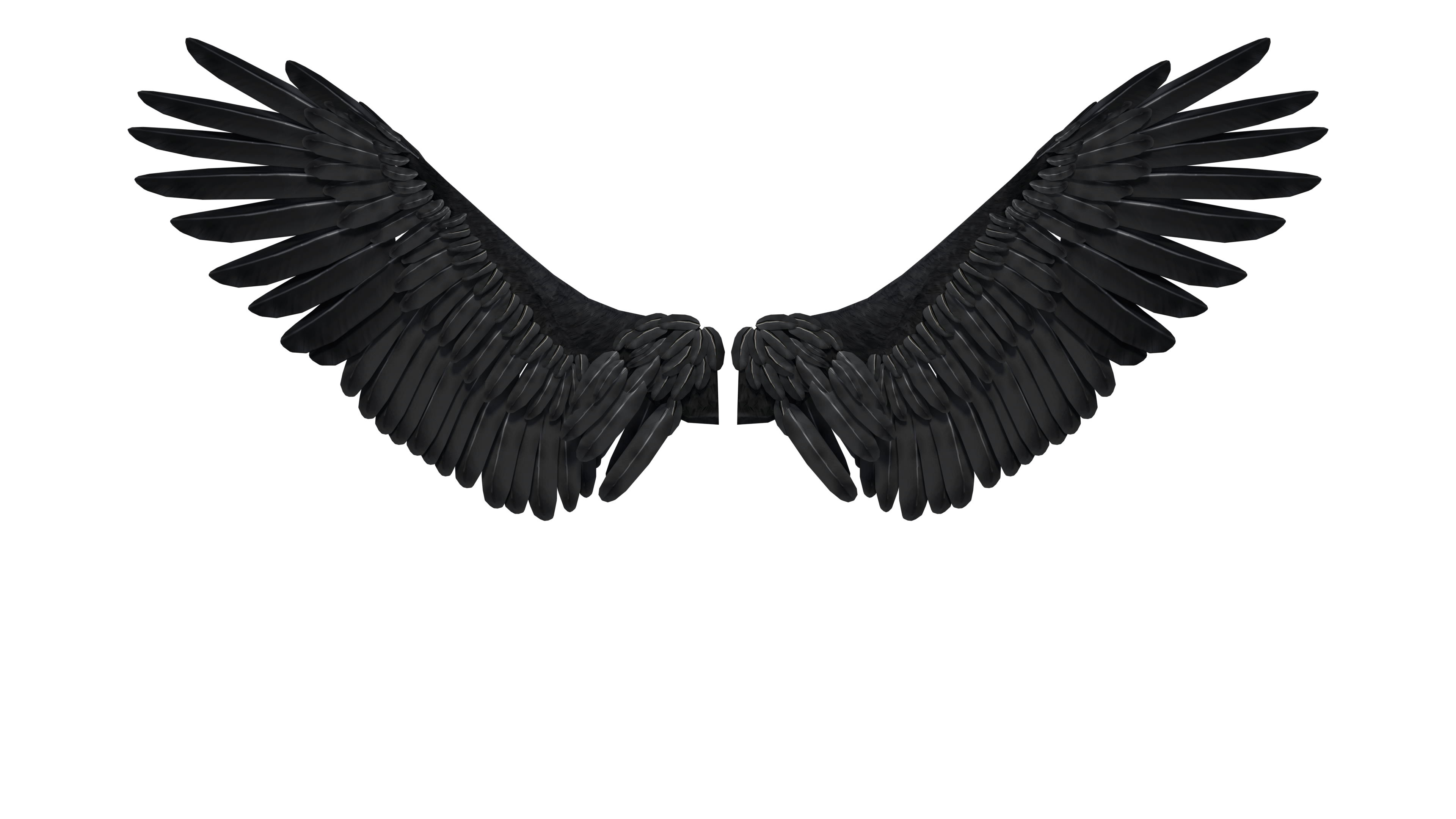 Black Wings PNG Photo