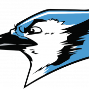 Blue Jays Logo PNG Images HD