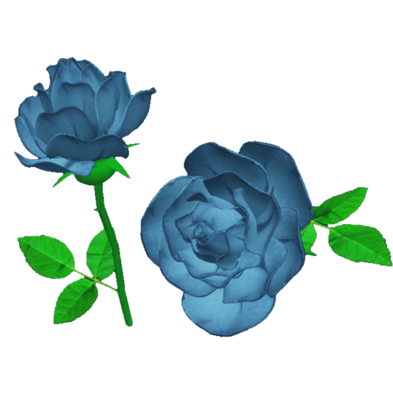 Blue Rose PNG Clipart