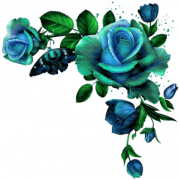 Blue Rose PNG Cutout