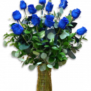 Blue Rose PNG Image