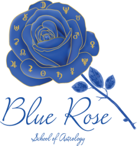 Blue Rose PNG Pic