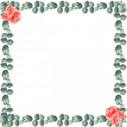 Border Flower Background PNG