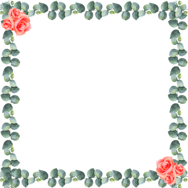 Border Flower Background PNG