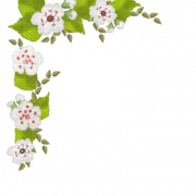 Border Flower PNG Clipart