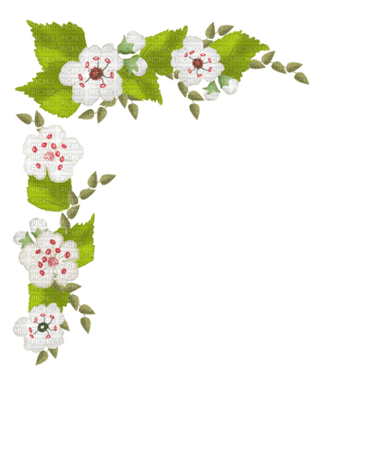 Border Flower PNG Clipart