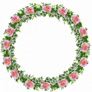 Border Flower PNG Picture
