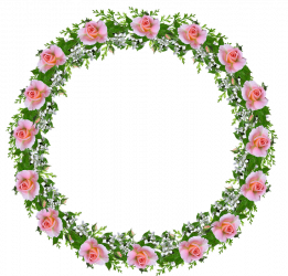 Border Flower PNG Picture