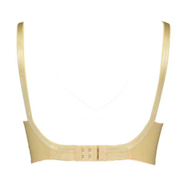 Brassiere PNG Transparent Images - PNG All