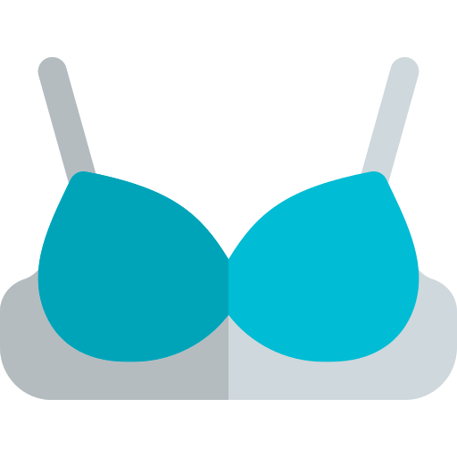 Brassiere PNG HD Image