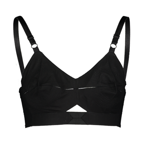 Brassiere PNG Image File