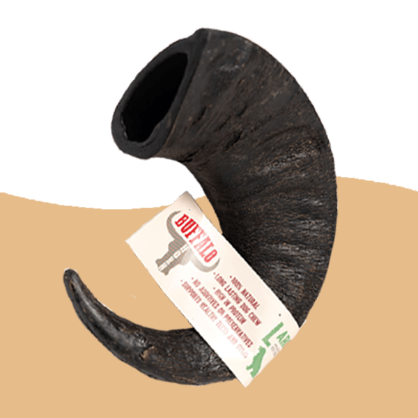Buffalo Horns PNG Cutout