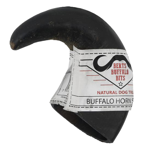 Buffalo Horns PNG Pic