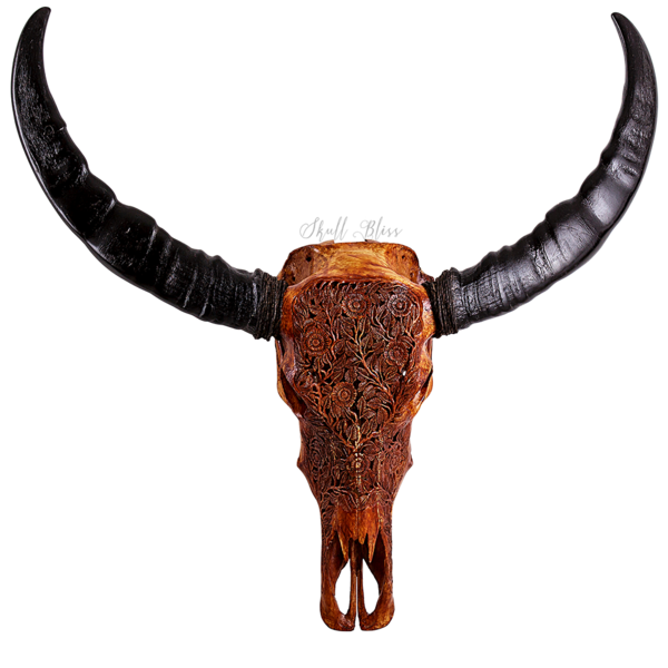 Buffalo Horns Transparent