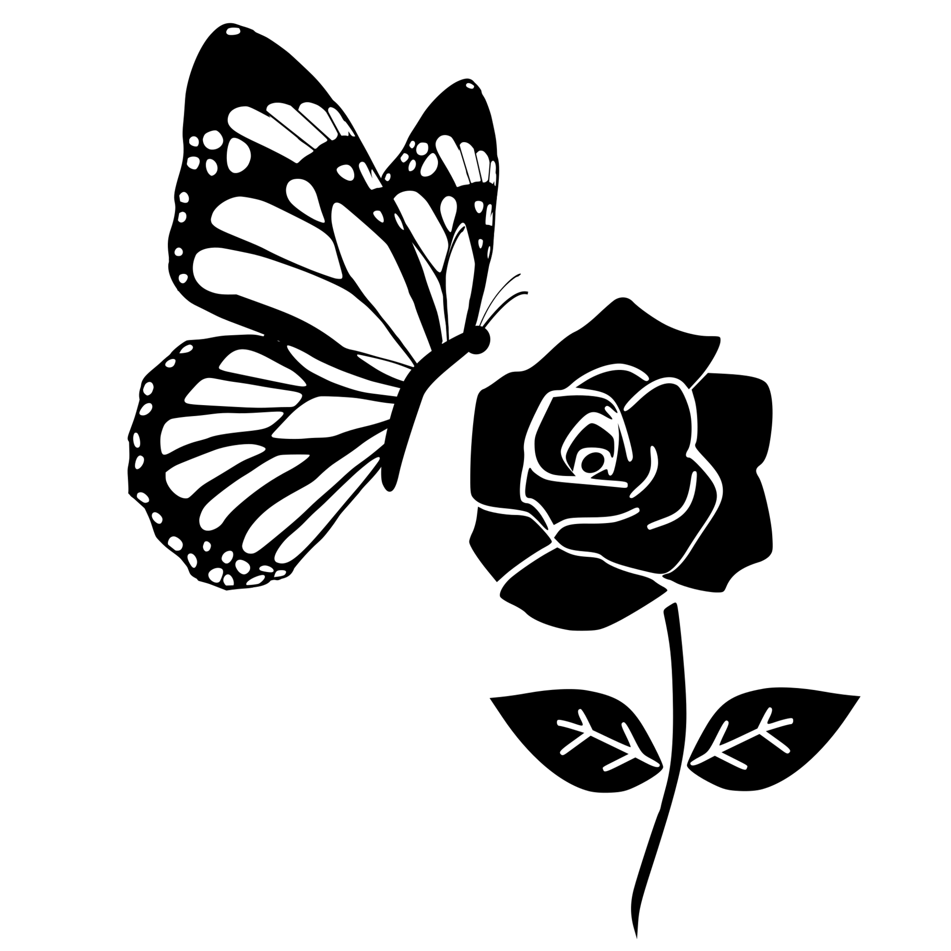 Butterfly Black And White PNG Clipart