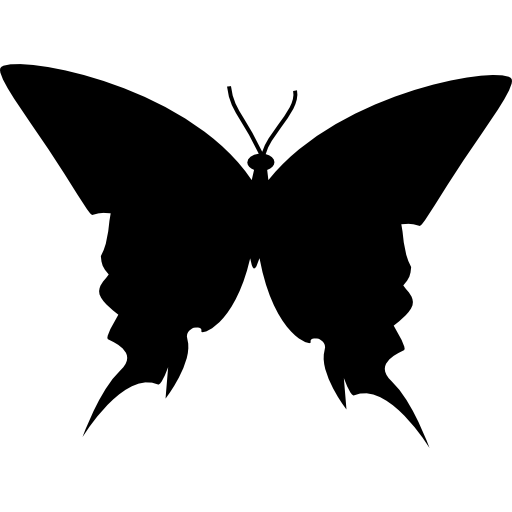 Butterfly Black And White PNG Image HD