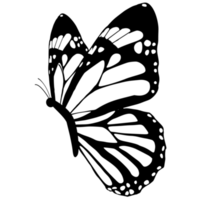 Butterfly Black And White PNG Images