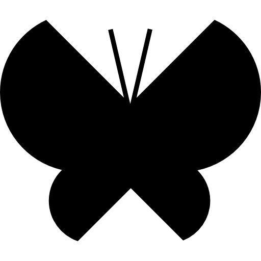 Butterfly Black And White PNG Photo