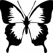Butterfly Black And White PNG Pic
