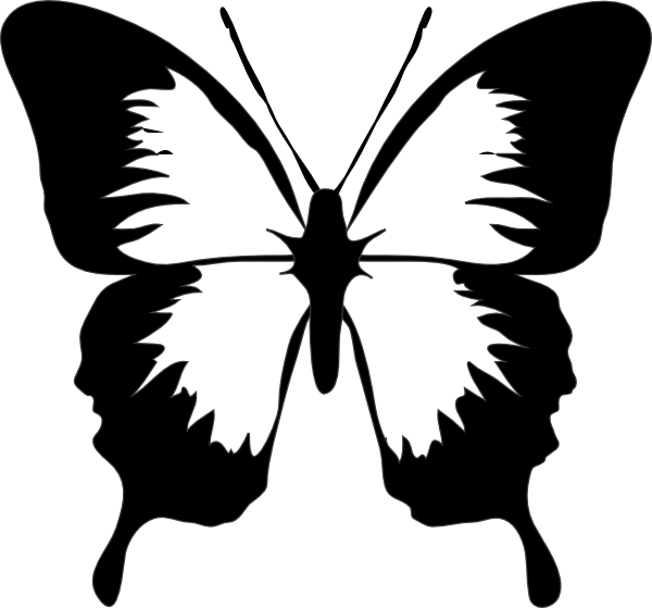 Butterfly Black And White PNG Pic