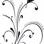 Butterfly Black And White PNG Picture