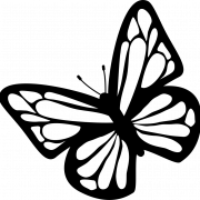 Butterfly Black And White Transparent