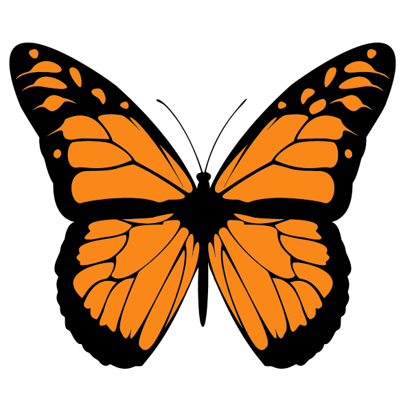 Butterfly Wings PNG Background