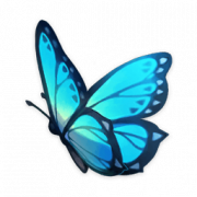 Butterfly Wings PNG HD Image