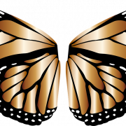 Butterfly Wings PNG Image