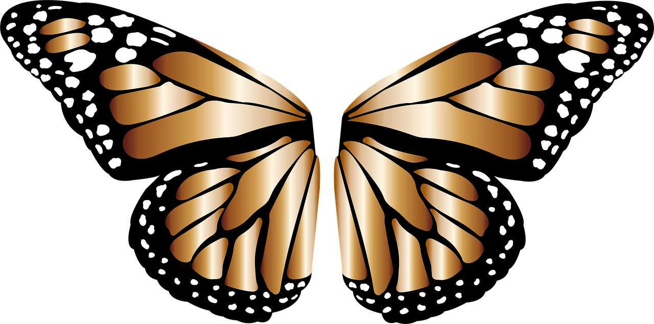 Butterfly Wings PNG Image