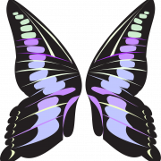 Butterfly Wings PNG Images