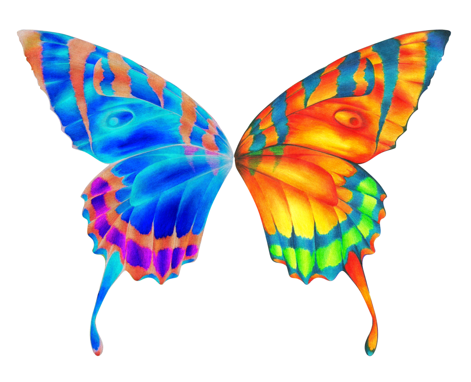 Butterfly Wings PNG Images HD