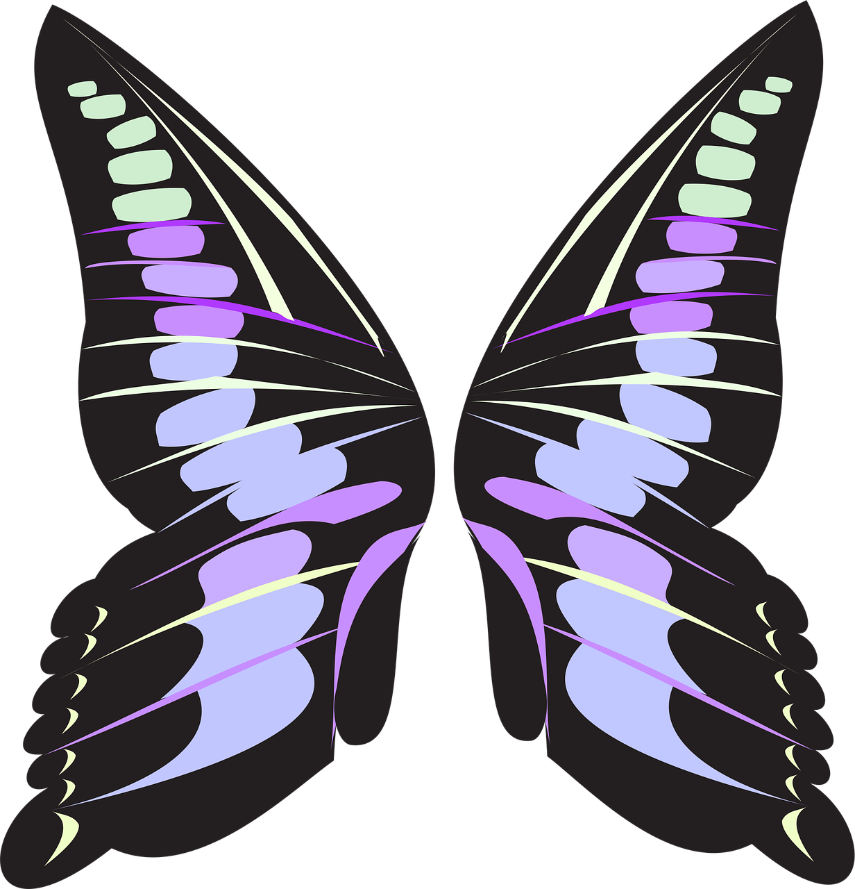 Butterfly Wings PNG Images
