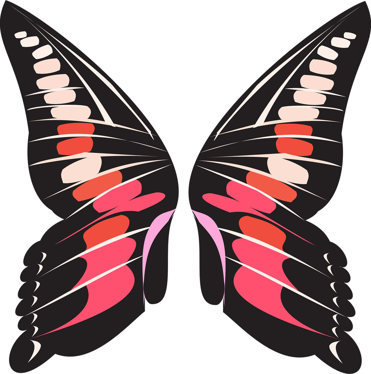 Butterfly Wings PNG Photos