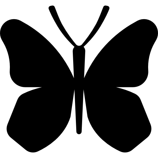 Butterfly Wings PNG Pic