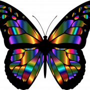 Butterfly Wings PNG Picture