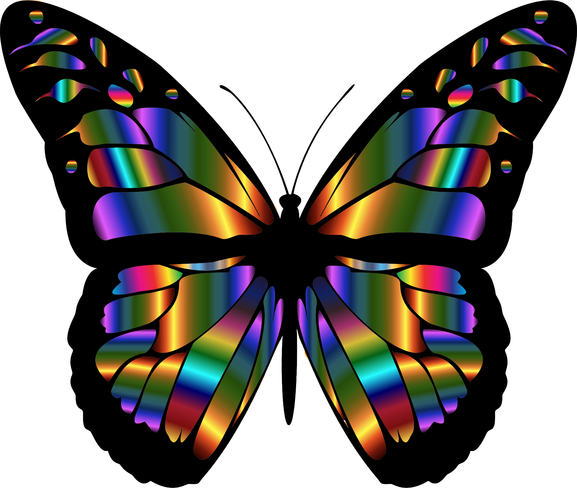 Butterfly Wings PNG Picture