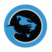 Carolina Panthers Logo PNG HD Image