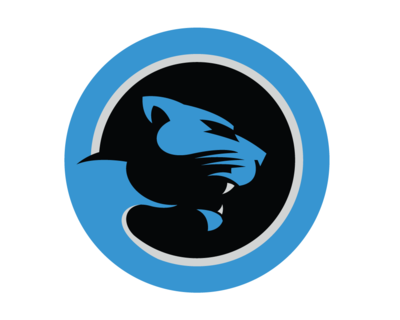 Carolina Panthers Logo PNG HD Image