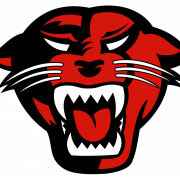 Carolina Panthers Logo PNG Image HD