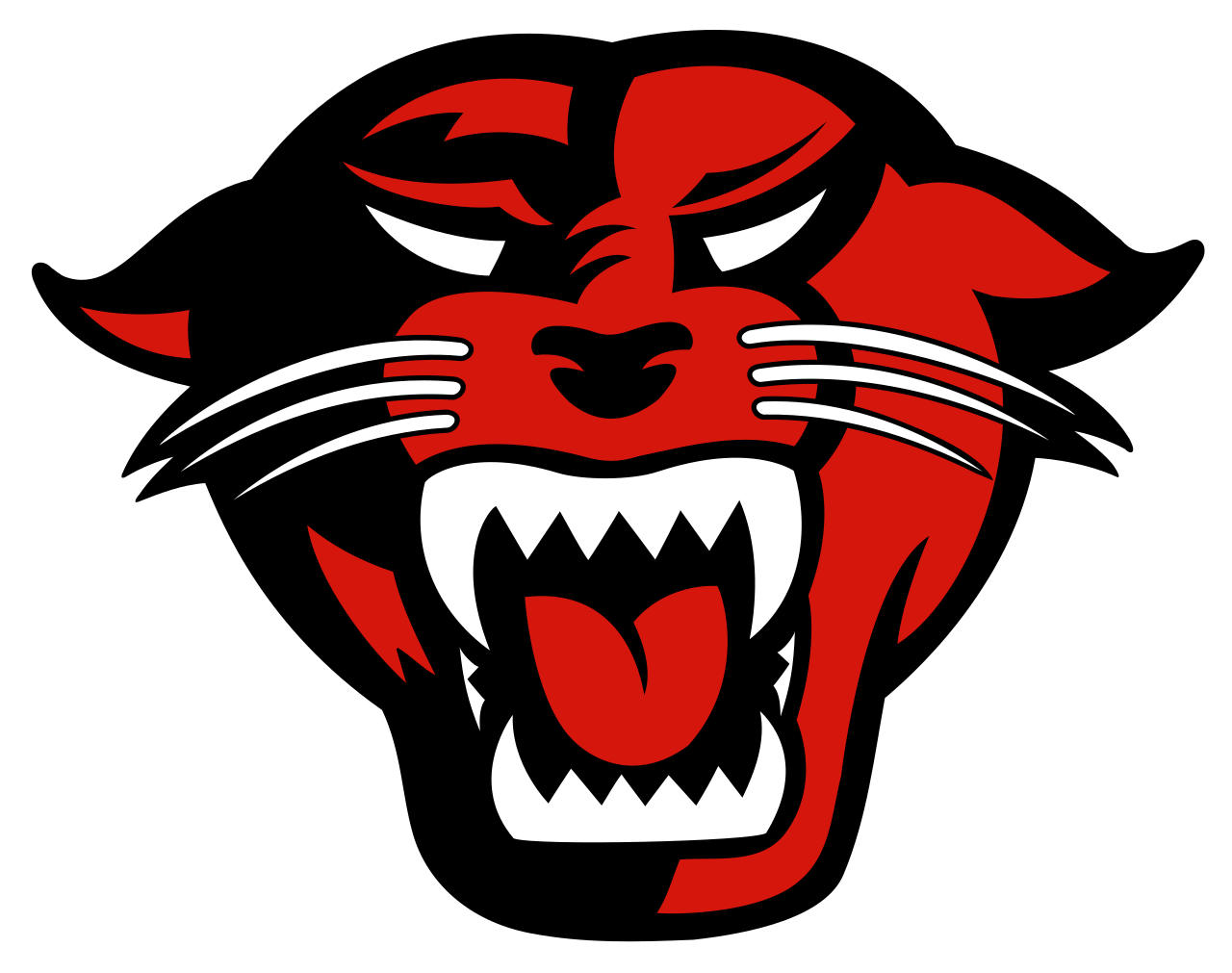 Carolina Panthers Logo PNG Image HD