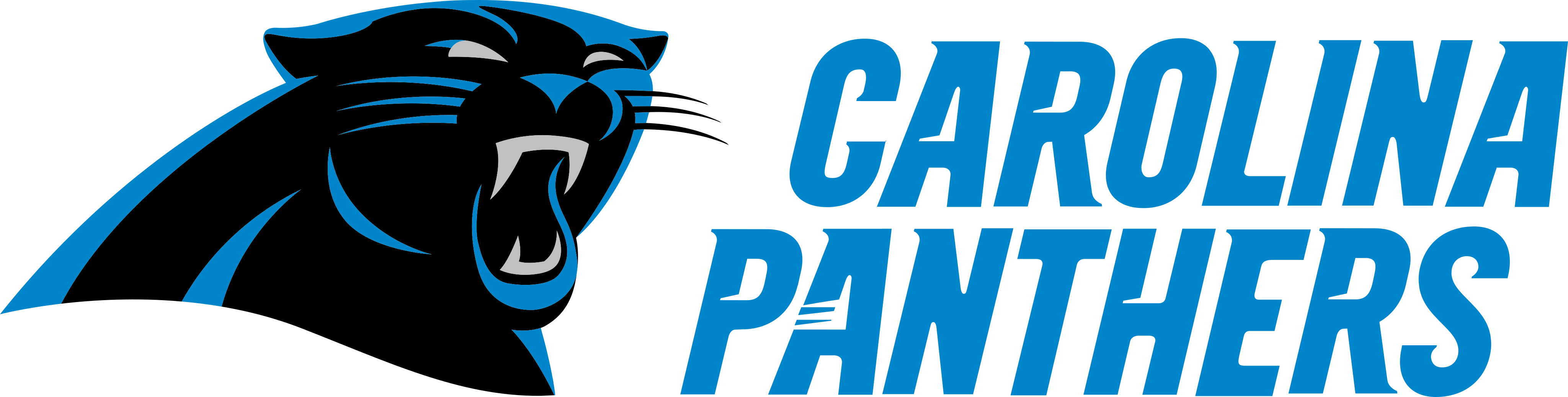 Carolina Panthers Logo PNG Photos