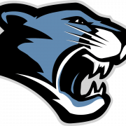 Carolina Panthers Logo PNG Pic