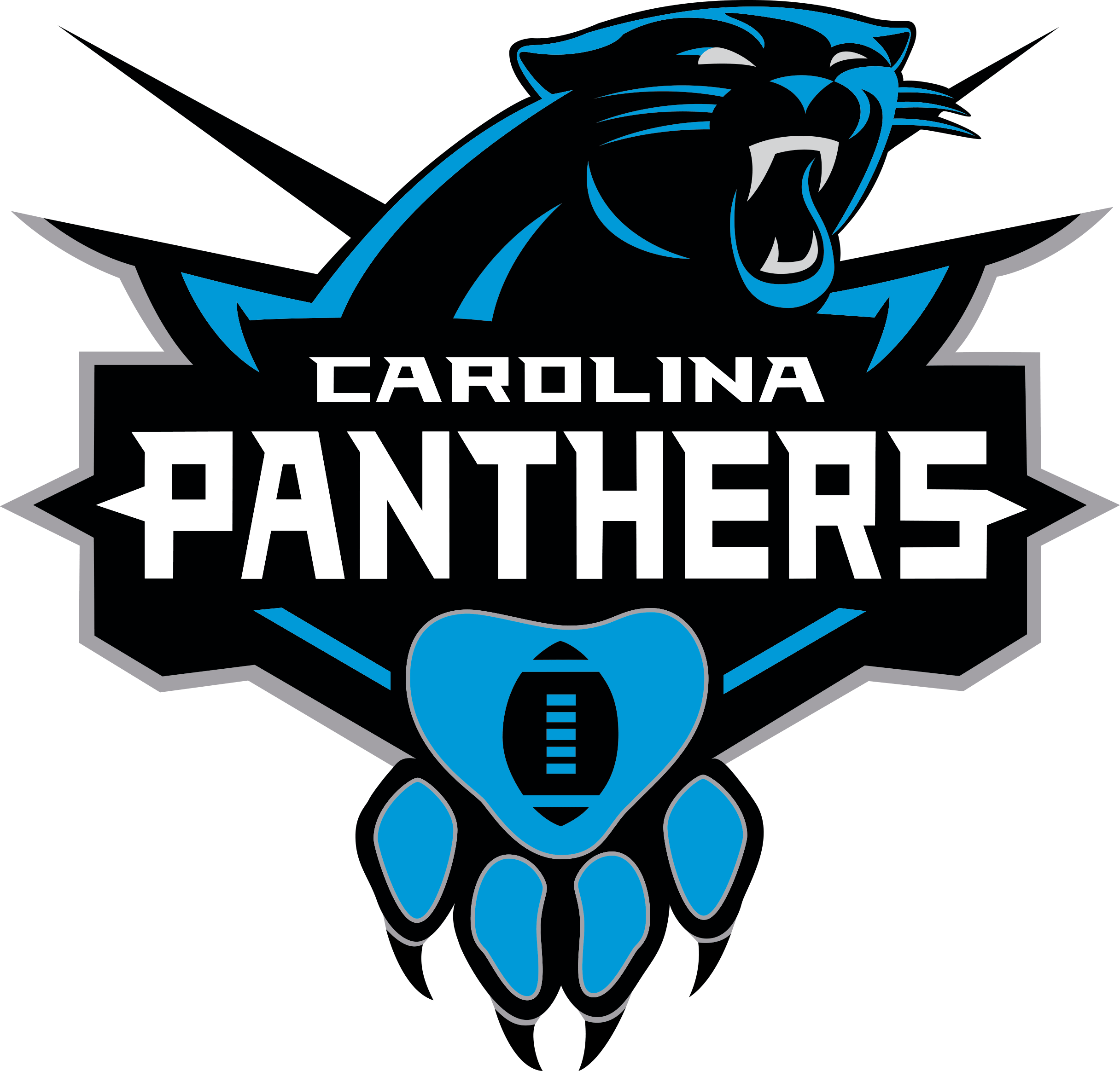 Carolina Panthers Logo PNG Picture