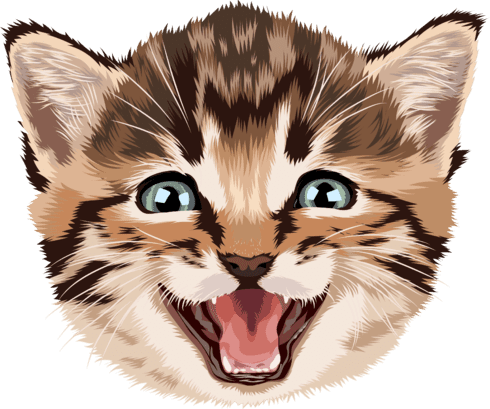 Cartoon Cat PNG Clipart