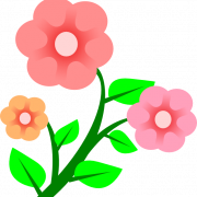 Cartoon Flower Transparent