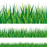 Cartoon Grass PNG Background